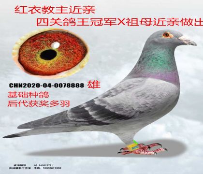 �t�½������H���P(gu��n)������܊ֱ��