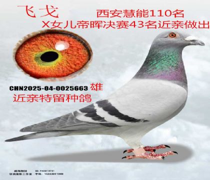 ����110��XŮ��43������