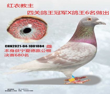 ���ĵ��A�Qِ680���t�½���X����6��