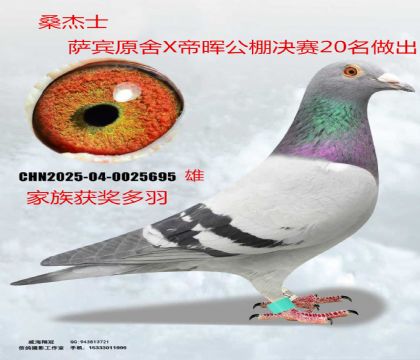 ɣ��ʿ�_�eԭ��X�ە��Qِ20��