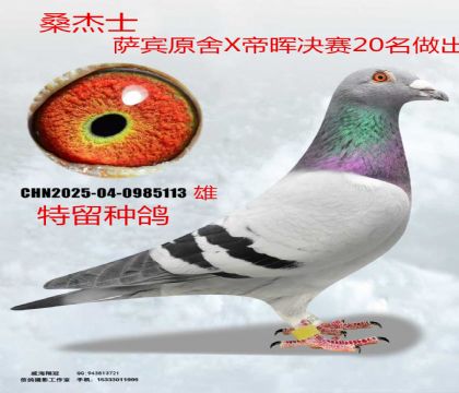 ɣ��ʿ�_�eԭ��X�ە��Qِ20��