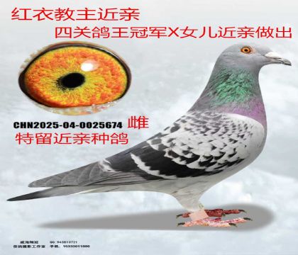 �t�½������H���P(gu��n)������܊ֱ��