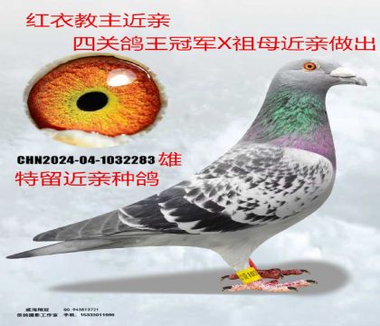 �t�½������H���P(gu��n)������܊ֱ��