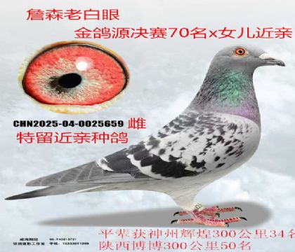 ղɭ�ϰ��۽��H����Դ70��ֱŮ