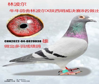 �ֲ������H��������Qِ8��ֱ��