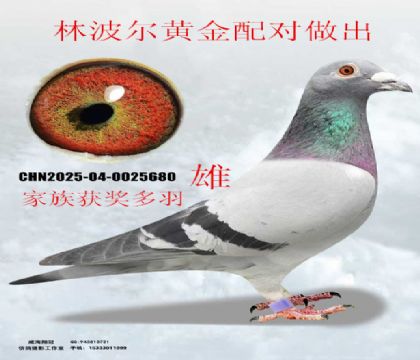 ţţ�ֲ����S���䌦(du��)����