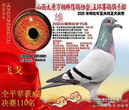 �f(w��n)�����P(gu��n)�P(gu��n)��λ���P(gu��n)����15��