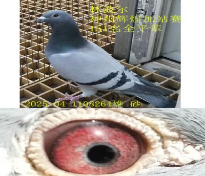 �ֲ��������x�ͼ�վِ151��ȫƽ݅