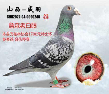 �f����1700Ԫ�ر�ղɭ�ϰ���