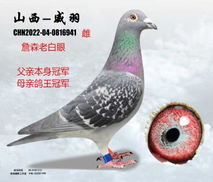 ղɭ�ϰ��۹�܊X������܊����