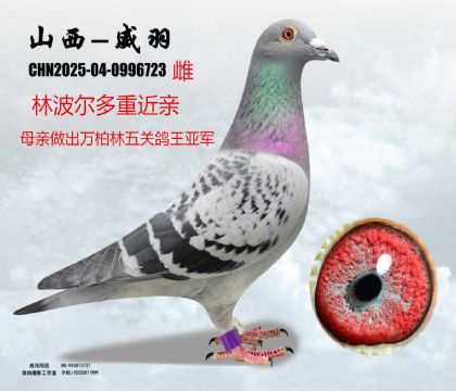 �ֲ������P(gu��n)������܊��ƽ݅