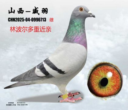 �ֲ������H�����N��