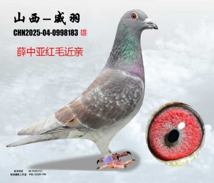 Ѧ�Ё��të���H