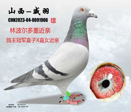 �ֲ���������܊ֱ��XֱŮ