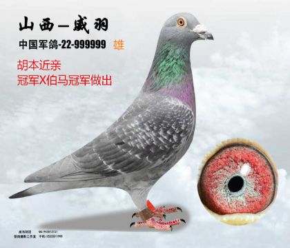 ������܊X���ٹ�܊