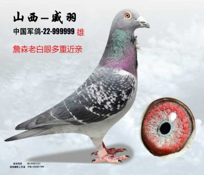 ղɭ�ϰ��۶��ؽ��H