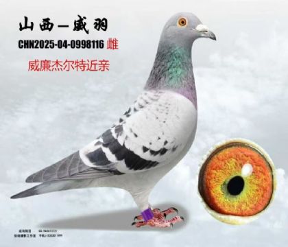 �����ܠ��ض��ؽ��H