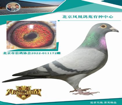 �W��ƥ�˻��ؠ�006��ֱ�OX���W��ƥ��006ȫ�á�ֱŮ