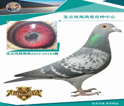 �W��ƥ��03ֱ�OX�_������Qِ91��