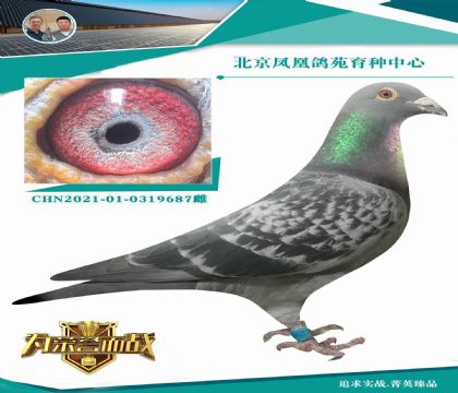 ��С�ϵϡ���W��ِ��ʷ���(y��u)��KBDB�L(zh��ng)���x����