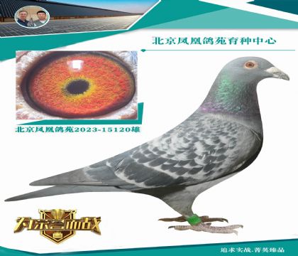 ��(zh��n)��998ֱϵX��������܊֮ĸ�H����(��i)��̖(h��o)���OŮ