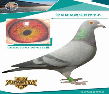 ղɭ�ɱȌ�(du��)����܊Xղ��˹802ֱ�OŮ