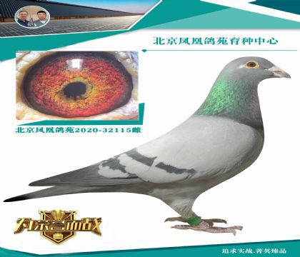 �����_��X���۴ơ�ֱ�OX���ؠ�ȫ����