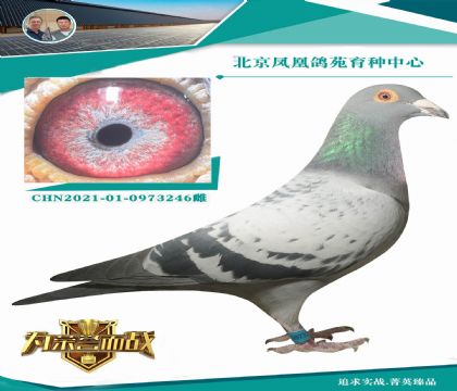 �����W003����Ѫ�OX��ƿˊW��ƥ�˻���ֱŮ