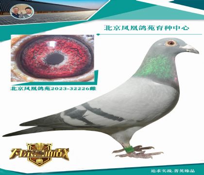 �W��ƥ�˻��ؠ�006��ֱ�OX���W��ƥ��006ȫ�á�ֱŮ