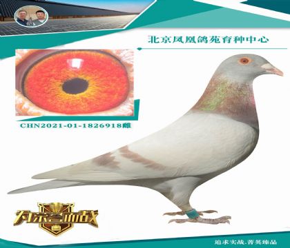 ���Qȫ������õ����� ����(j��)����