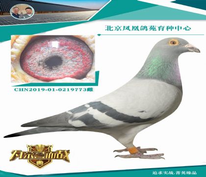 피�(j��)����������(j��)73������ـ���A������