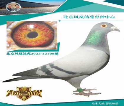 �¸��׵϶��ػ�Ѫ ����ِ��(j��)���ʷǳ�֮��