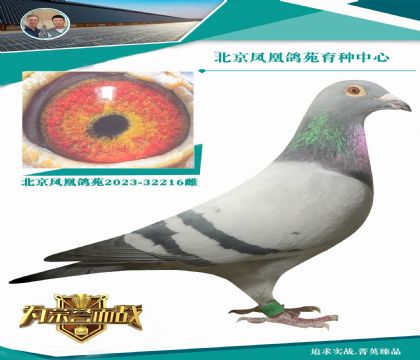 �W��ƥ���᠖˹��ֱ��X(ju��)�����x�͹���Qِ10��