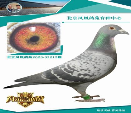 ���������S��N�ۡ�X�������ᡱֱŮ