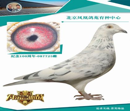 ���᠖���ɶ�õĳ���(j��)�� ���᠖���C(j��)X���᠖�����š�