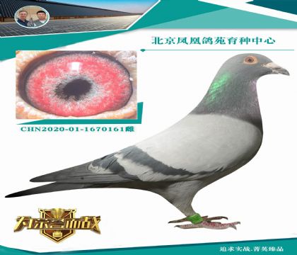 ������õ��������������ǳ��� ��������