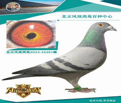 �S������-ֱ��X(ju��)���r(sh��)��911ֱŮ