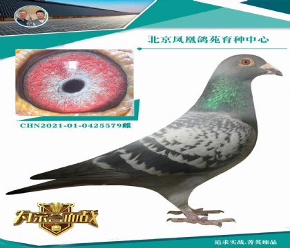 ���W ��Ů��Ѫ�߶˷N��