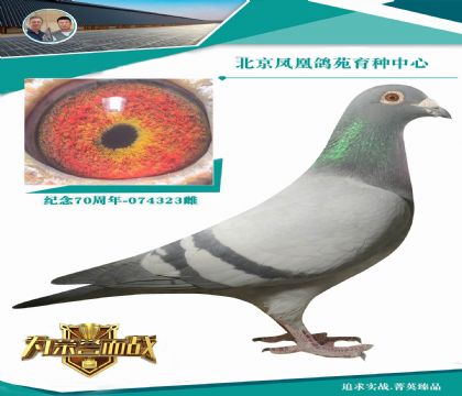 ��������998��X28�f(w��n)���������Ͽ���š�