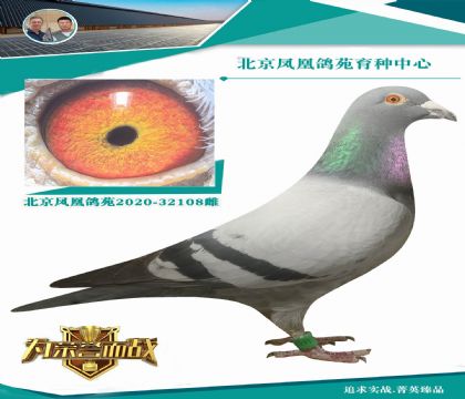 ������6�ι�܊X�_������Qِ24��