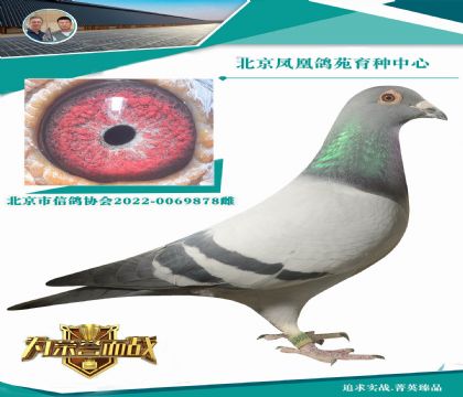 15�f(w��n)���M(j��n)����.�ϲ���X���ұȠ��ơ� ���ǲ���