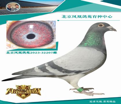 �ش��(y��ng)�˵�����˹740ֱ�O