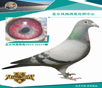 �W��ƥ��006�H�ܵ�Xī�ƶ���ȫ��