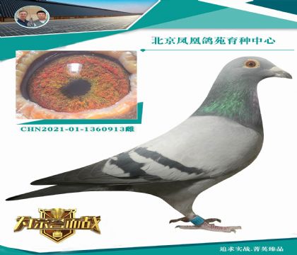 ������V����x�Ϻ���������ֱŮ