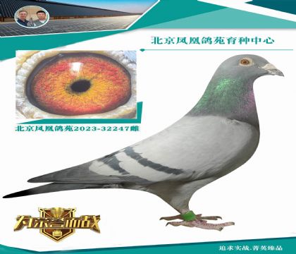 �������^���O��X����܊���f(w��n)�䌦(du��)ֱŮ