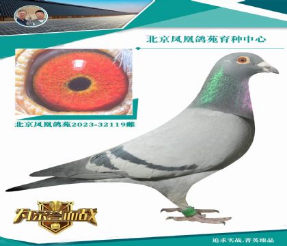 ����피�(j��)�ٰ����N��333 ֱŮ ��ĸ�߃r(ji��)���M(j��n)