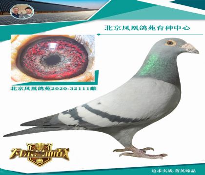 �W��ƥ��003ֱ�O X�W��ƥ��003ֱ�OŮ