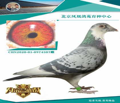 ���w��999��X���� �w��