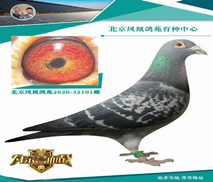 ���w��֮��X���� �w��