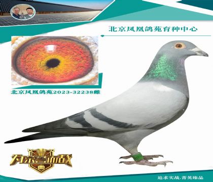 ղɭ�ɱȌ�(du��)����܊Xղ��˹802ֱ�OŮ